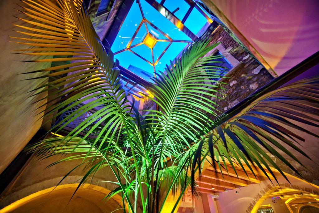 Elia Fatma Boutique (adults Only) Отель 4*